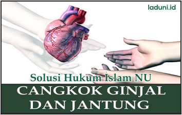 Hukum Mencangkok Ginjal dan Jantung