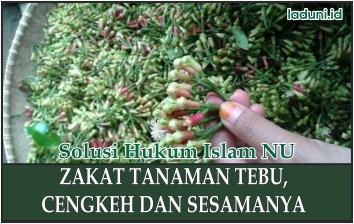 Zakat Tanaman Tebu, Cengkeh dan Sesamanya