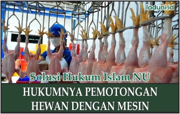 Hukum Pemotongan Hewan dengan Mesin