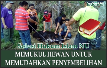 Memukul Hewan untuk Memudahkan Penyembelihan