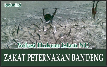 Zakat Peternakan Bandeng