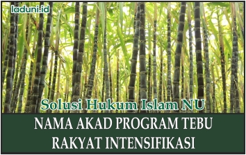 Nama Akad Program Tebu Rakyat Intensifikasi