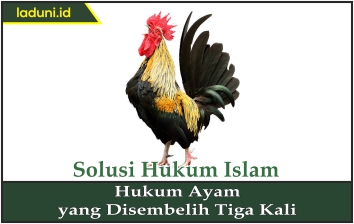 Hukum Ayam yang Disembelih Tiga Kali