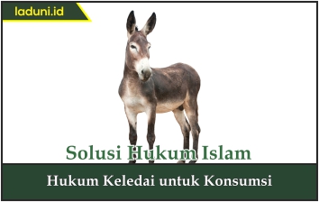 Hukum Keledai untuk Konsumsi