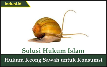 Hukum Keong Sawah untuk Konsumsi