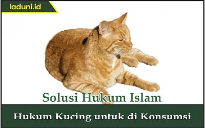Hukum Kucing untuk Dikonsumsi