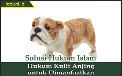 Hukum Kulit Anjing untuk Dimanfaatkan