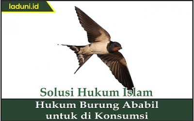 Hukum Burung Ababil untuk Dikonsumsi