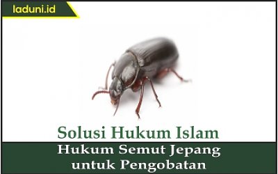 Hukum Semut Jepang untuk Pengobatan