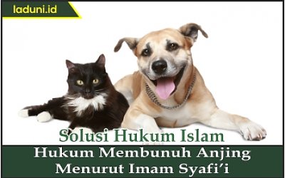 Hukum Membunuh Anjing Menurut Imam Syafi'i