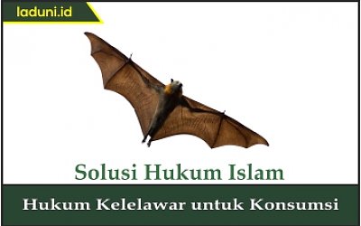 Hukum Kelelawar untuk Konsumsi