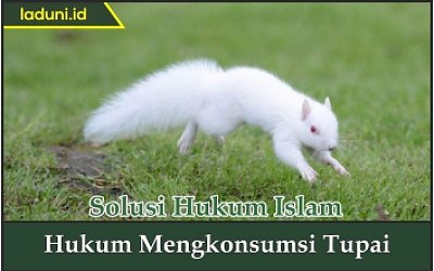 Hukum Mengkonsumsi Tupai