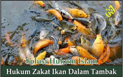 Hukum Zakat Ikan dalam Tambak