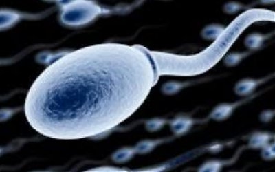 Wajibkah Mengulang Mandi Saat Terdapat Sperma dalam Kemaluan Perempuan?