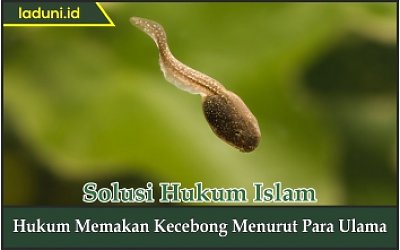 Hukum Memakan Kecebong Menurut Para Ulama