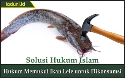 Hukum Memukul Ikan Lele untuk Dikonsumsi
