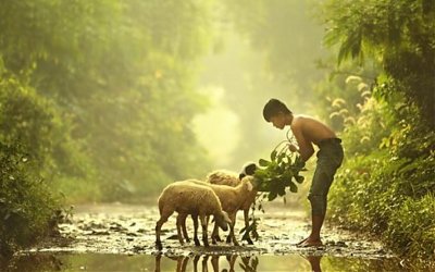 Kisah Nabi Musa dan Si Penggembala Kambing