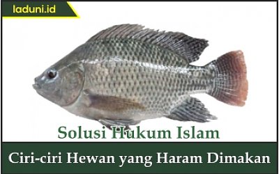 Ciri-ciri Hewan yang Haram Dimakan