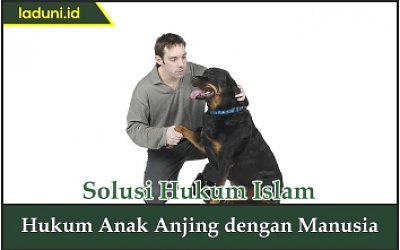 Hukum Anak Anjing dengan Manusia