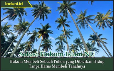 Hukum Membeli Sebuah Pohon yang Dibiarkan Hidup Tanpa Harus Membeli Tanahnya