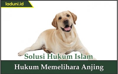 Hukum Memelihara Anjing