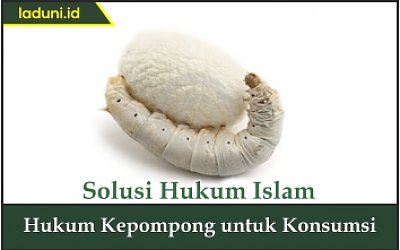 Hukum Kepompong untuk Konsumsi