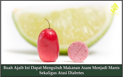 Buah Ajaib Ini Dapat Mengubah Makanan Asam Menjadi Manis Sekaligus Atasi Diabetes