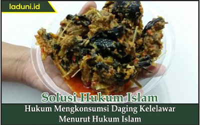 Hukum Mengkonsumsi Daging Kelelawar Menurut Hukum Islam