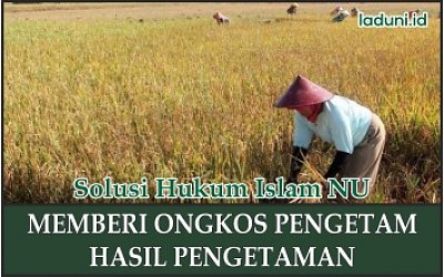 Memberi Upah Buruh Tani Pengetam Padi