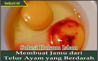 Membuat Jamu dari Telur Ayam yang Berdarah