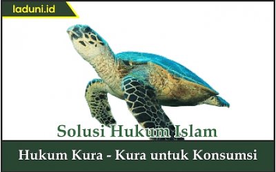 Hukum Kura-Kura untuk Konsumsi