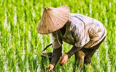 Kisah Pengorbanan Seorang Kakak untuk Adik-Adiknya Menjadi Sukses