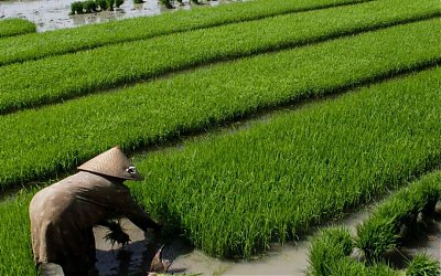 Bolehkah Menggadaikan Barang dengan Syarat Manfaat Diambil Penerima Gadai? Ini Penjelasannya