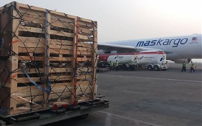 Permulaan yang Bagus, Ribuan Domba asal Jatim Diekspor ke Malaysia