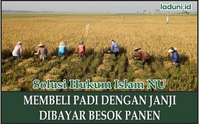 Membeli Padi dengan Dibayar dalam Waktu Tertentu