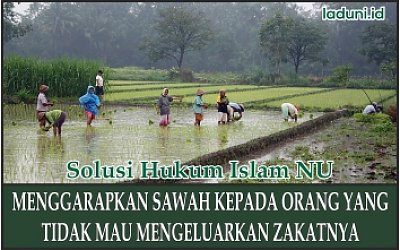 Menggarap Sawah Orang yang Tidak Mau Berzakat