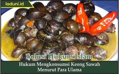Hukum Mengkonsumsi Keong Sawah Menurut Para Ulama