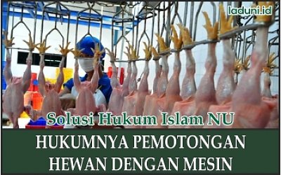 Hukum Pemotongan Hewan dengan Mesin