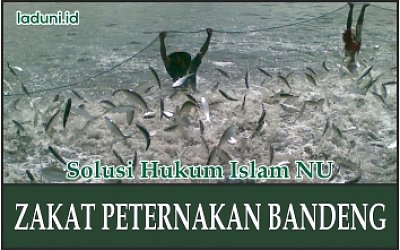 Zakat Peternakan Bandeng