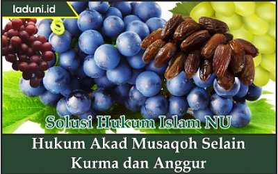 Hukum Akad Musaqoh Selain Kurma dan Anggur