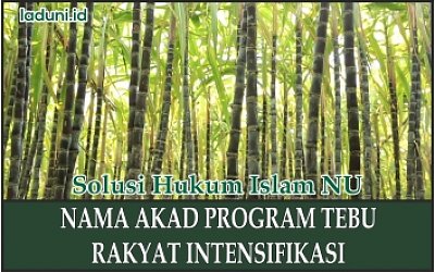 Nama Akad Program Tebu Rakyat Intensifikasi