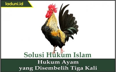 Hukum Ayam yang Disembelih Tiga Kali