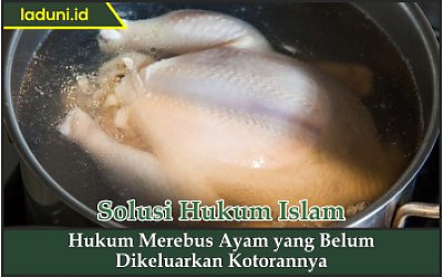 Hukum Merebus Ayam yang Belum Dikeluarkan Kotorannya
