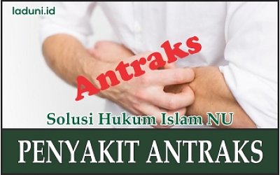 Hukum Mengurus Mayit yang Terkena Penyakit Antraks