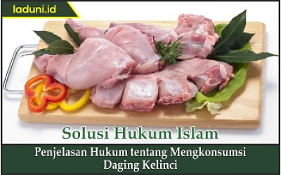 Penjelasan Hukum tentang Mengkonsumsi Daging Kelinci