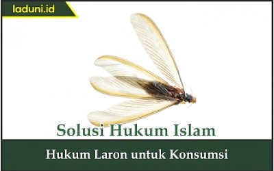 Hukum Laron untuk Konsumsi