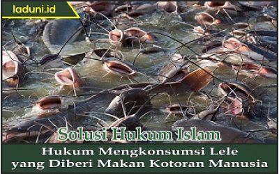 Hukum Mengkonsumsi Lele yang Diberi Makan Kotoran Manusia