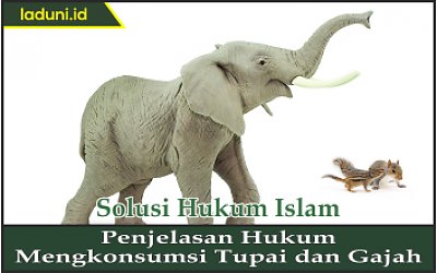 Penjelasan Hukum Mengkonsumsi Tupai dan Gajah