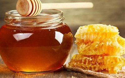 3 Makanan Ini Rasulullah Pilih untuk Cegah Virus Masuk ke Tubuh
