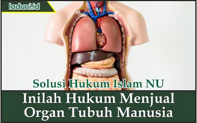 Inilah Hukum Menjual Organ Tubuh Manusia